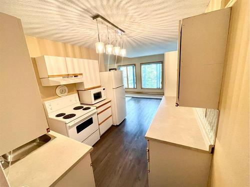 12-49329 Folding Avenue, Rural Yellowhead County, AB - Indoor Photo Showing Kitchen