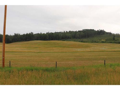 18231 Township Road 542, Rural Yellowhead County, AB - Outdoor With View