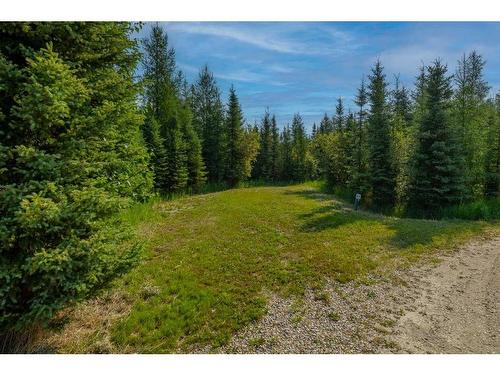 53212 Range Road 172, Rural Yellowhead County, AB 