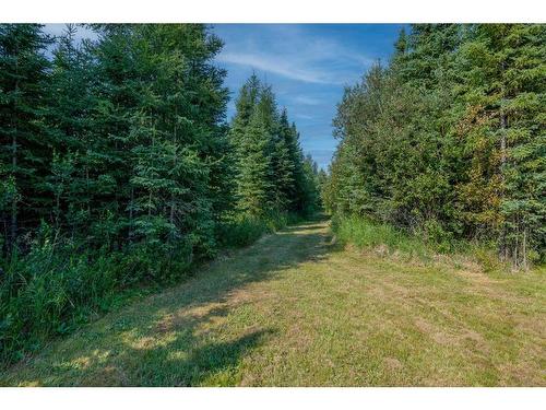 53212 Range Road 172, Rural Yellowhead County, AB 