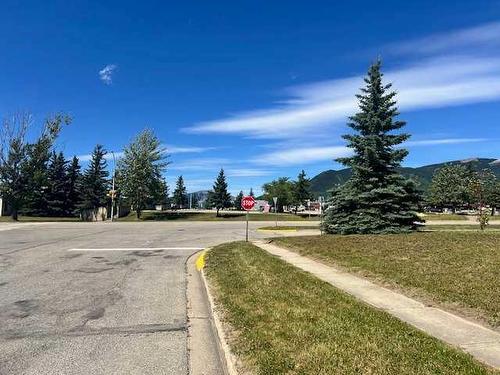 10033 Hoppe, Grande Cache, AB - Outdoor With View