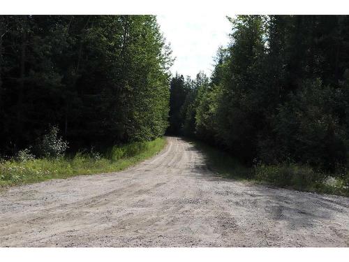 53305 Range Road 111, Rural Yellowhead County, AB - Outdoor