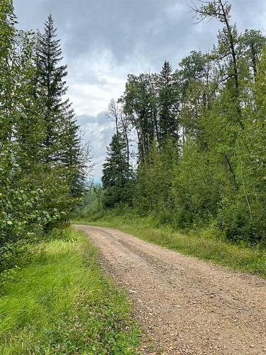 26 124062 Township Road 593A, Rural Woodlands County, AB - Outdoor With View