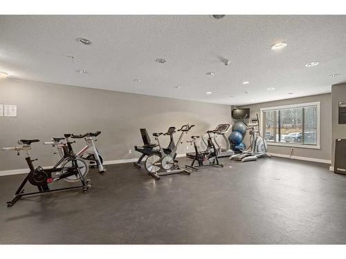 121-300 Palliser Lane, Canmore, AB - Indoor Photo Showing Gym Room