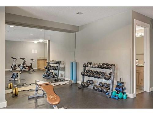 121-300 Palliser Lane, Canmore, AB - Indoor Photo Showing Gym Room