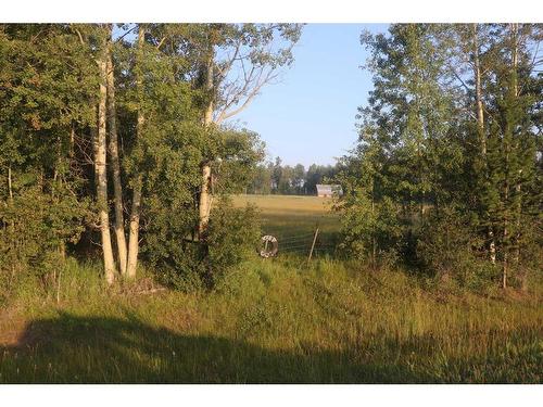 Cemetery Road Range Road 112, Rural Yellowhead County, AB 