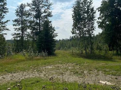 16107 Township Road 540A, Rural Yellowhead County, AB - Outdoor With View