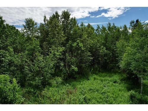 2, 115014 Township Road 583, Rural Woodlands County, AB 