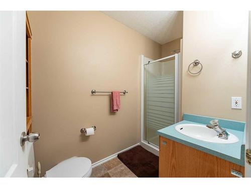 170 Sitar Crescent, Hinton, AB - Indoor Photo Showing Bathroom