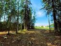 931 Wolf Trail, Sandy Lake, AB 