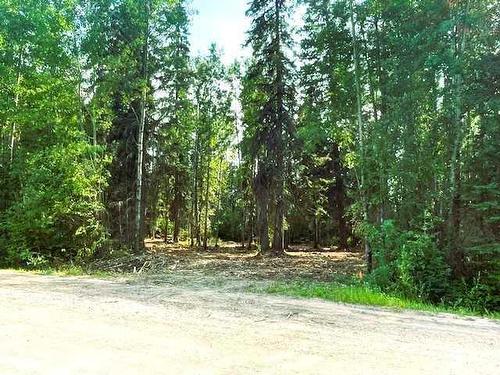 931 Wolf Trail, Sandy Lake, AB 