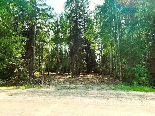 931 Wolf Trail, Sandy Lake, AB 