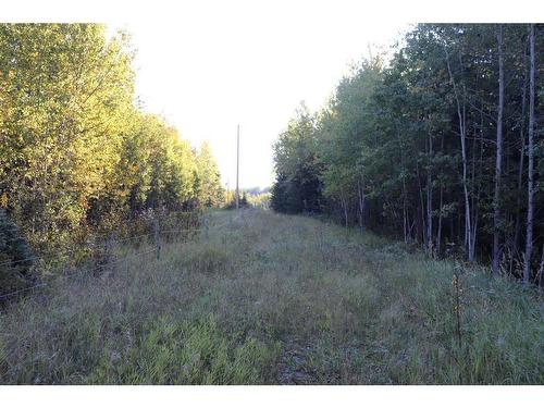 Township Road 560 Range Road 161, Rural Yellowhead County, AB 