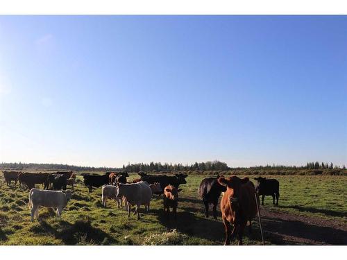 Township Road 560 Range Road 161, Rural Yellowhead County, AB 