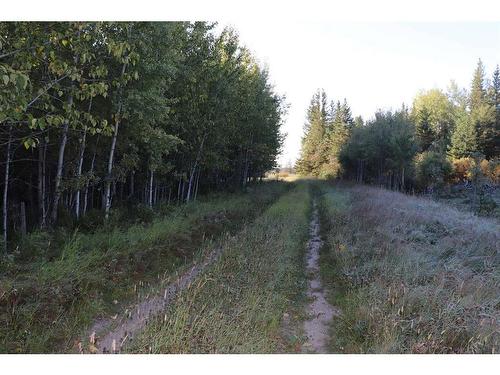 Township Road 560 Range Road 161, Rural Yellowhead County, AB 