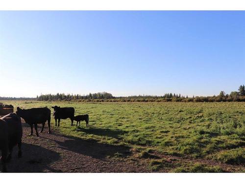 Township Road 560 Range Road 161, Rural Yellowhead County, AB 