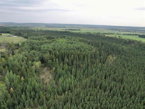 571010 Range Road 100, Rural Woodlands County, AB - Outdoor With View