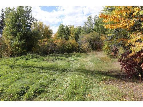 2-53114 Highway 31, Rural Parkland County, AB - Outdoor With View