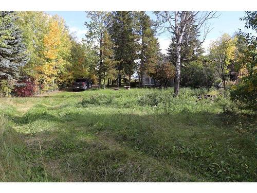 2-53114 Highway 31, Rural Parkland County, AB - Outdoor