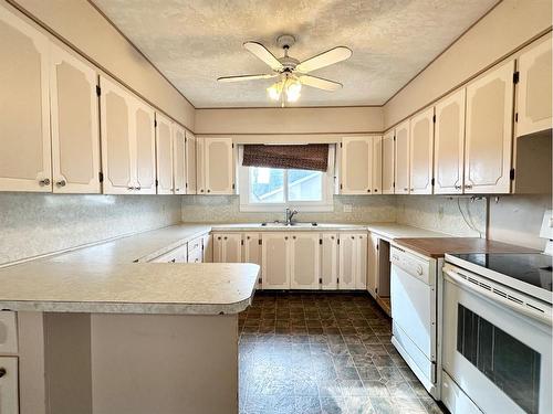 4605 54 Street, Mayerthorpe, AB - Indoor Photo Showing Kitchen With Double Sink