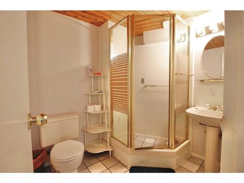 113 Hansen Drive, Hinton, AB - Indoor Photo Showing Bathroom