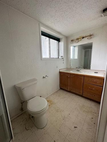 32 Southview Avenue, Swan Hills, AB - Indoor Photo Showing Bathroom