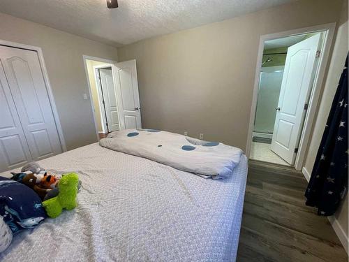 160 Sitar Crescent, Hinton, AB - Indoor Photo Showing Bedroom