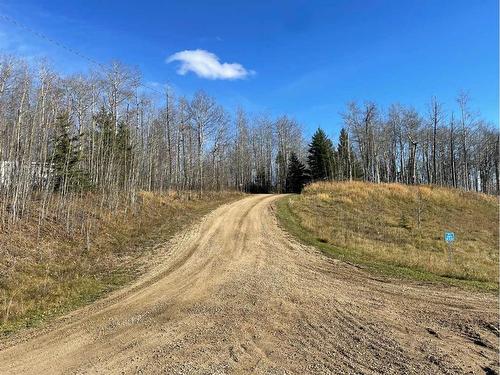 24 120053 Township Road 584 Road, Rural Woodlands County, AB - Outdoor With View