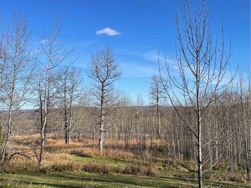 24 120053 Township Road 584 Road, Rural Woodlands County, AB - Outdoor With View