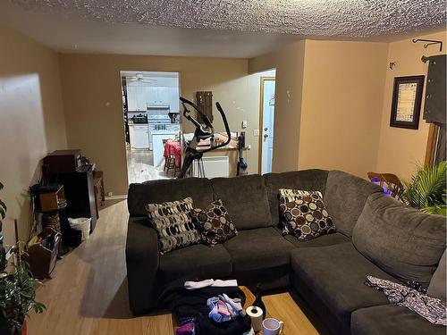 36 Sandy Drive, Whitecourt, AB - Indoor Photo Showing Living Room