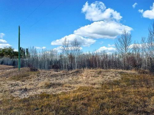 Lot 1, Willowside Estates, Rural Woodlands County, AB 