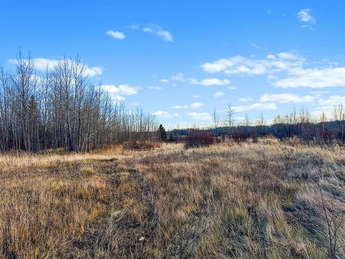 Lot 3, Willowside Estates, Rural Woodlands County, AB 