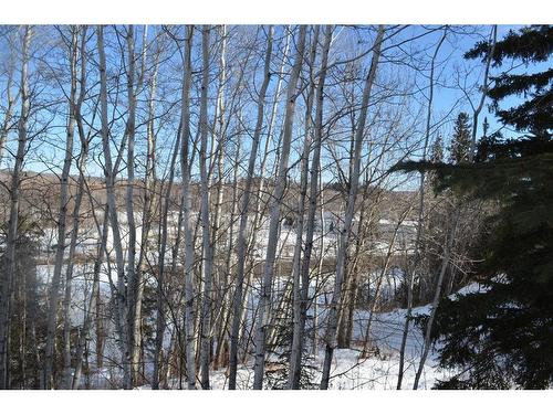 4913 54 Street, Athabasca, AB - Outdoor With View