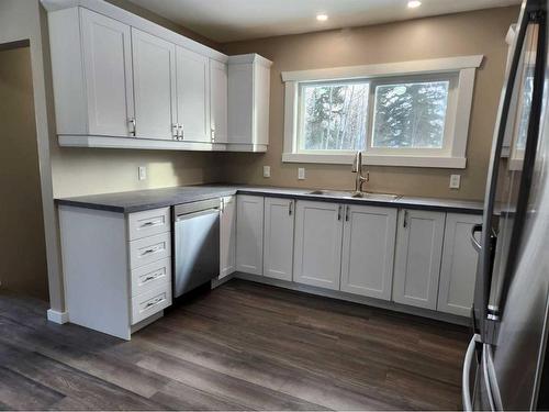 5309 Valley Road, Robb, AB - Indoor Photo Showing Kitchen With Double Sink