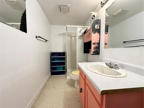 4812 Plaza Avenue, Swan Hills, AB - Indoor Photo Showing Bathroom