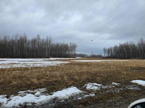 6205 Highway 616, Buck Creek, AB - Outdoor With View