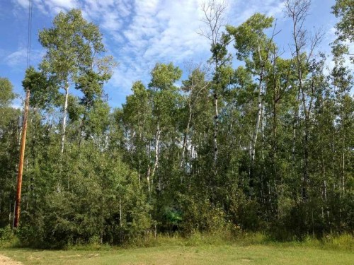8 Antler Close, Rural Athabasca County, AB 