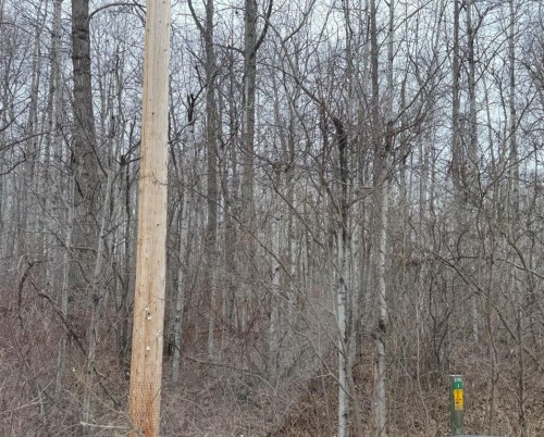 Lot 6 Baptiste Drive, West Baptiste, AB 