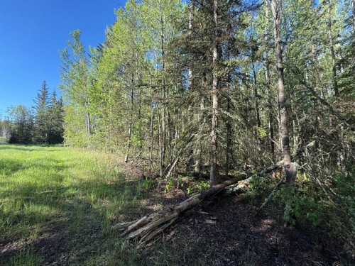 Township Road 640, Perryvale, AB 