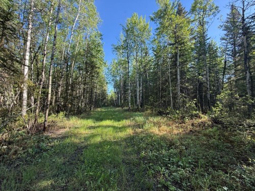 Township Road 640, Perryvale, AB 