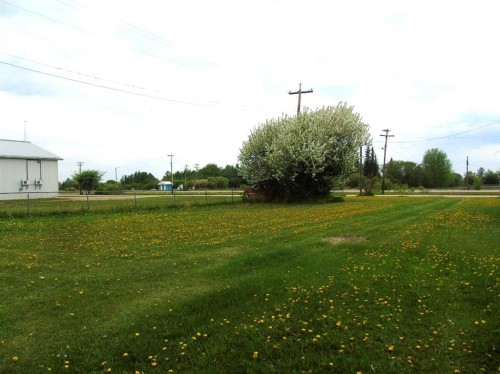 Lot 2 1St Street East, Faust, AB 