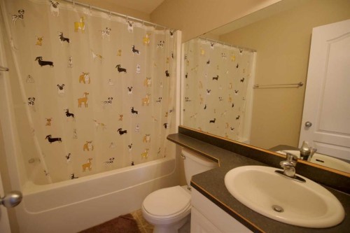 110 Guimond Place, Hinton, AB - Indoor Photo Showing Bathroom