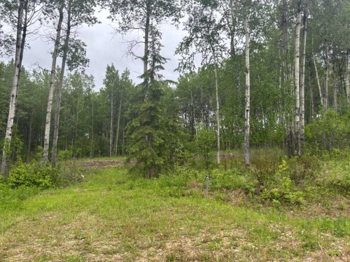 #6-660023 Range Road 224, Rural Athabasca County, AB 