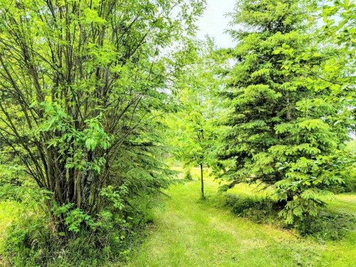 4 4A Street West, Faust, AB - Outdoor