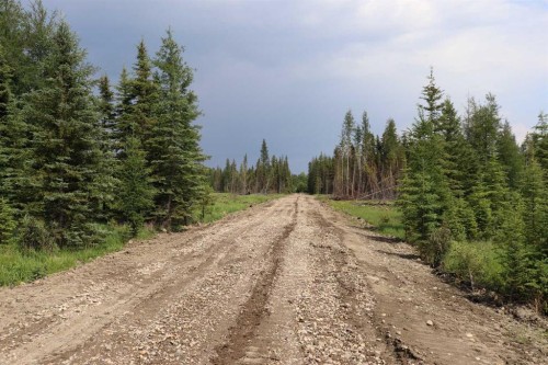 53428 A Range Road 170, Edson, AB 