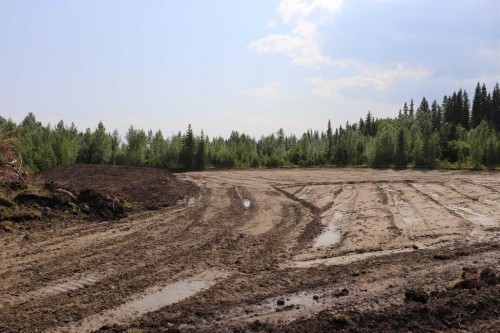 53428 A Range Road 170, Edson, AB 