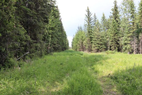 53428 A Range Road 170, Edson, AB 