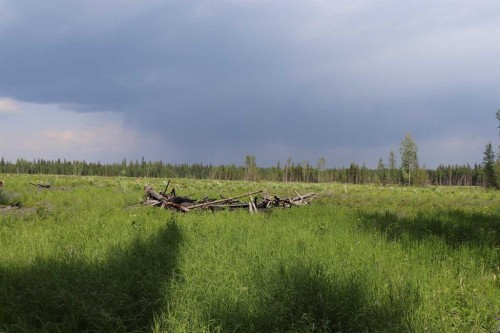 53428 A Range Road 170, Edson, AB 