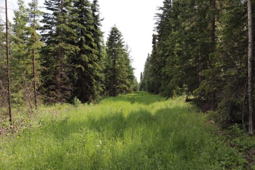 53428 A Range Road 170, Edson, AB 