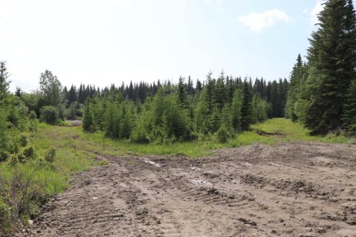 53428 A Range Road 170, Edson, AB 